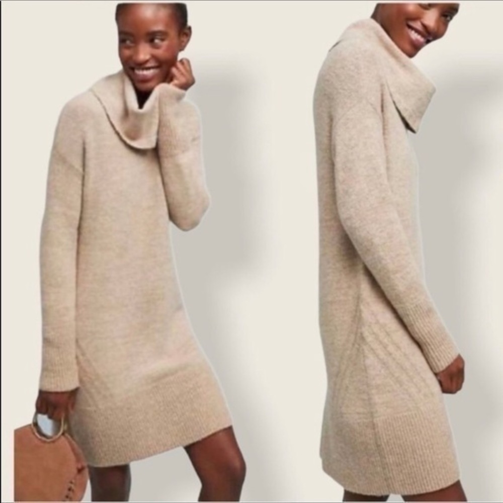 Anthropologie  wool turtleneck Sweater Dress